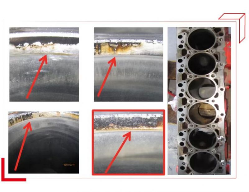 发念头没劲，，，竟是“它”惹的祸
