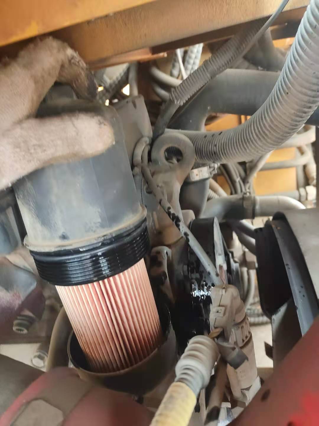 bbin·宝盈(中国集团)官方网站首页